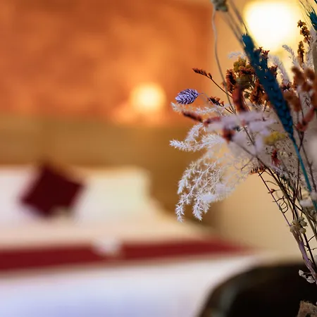 호텔 Logis Hotel Restaurant Les 2 Rives - Chambres Climatisees - A75, En Bordure De Riviere