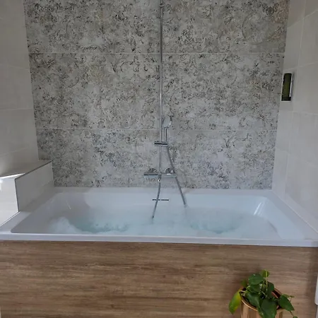 호텔 Logis Hotel Restaurant Les 2 Rives - Chambres Climatisees - A75, En Bordure De Riviere