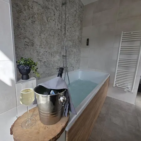 Logis Hotel Restaurant Les 2 Rives - Chambres Climatisees - A75, En Bordure De Riviere 호텔