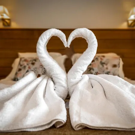 Logis Hotel Restaurant Les 2 Rives - Chambres Climatisees - A75, En Bordure De Riviere 3*